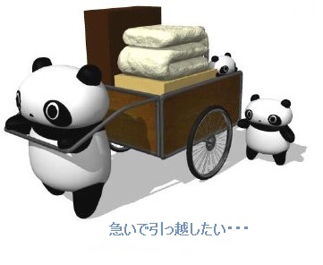 bdcam 急いで2011-01-23 16-12-16-425.jpg